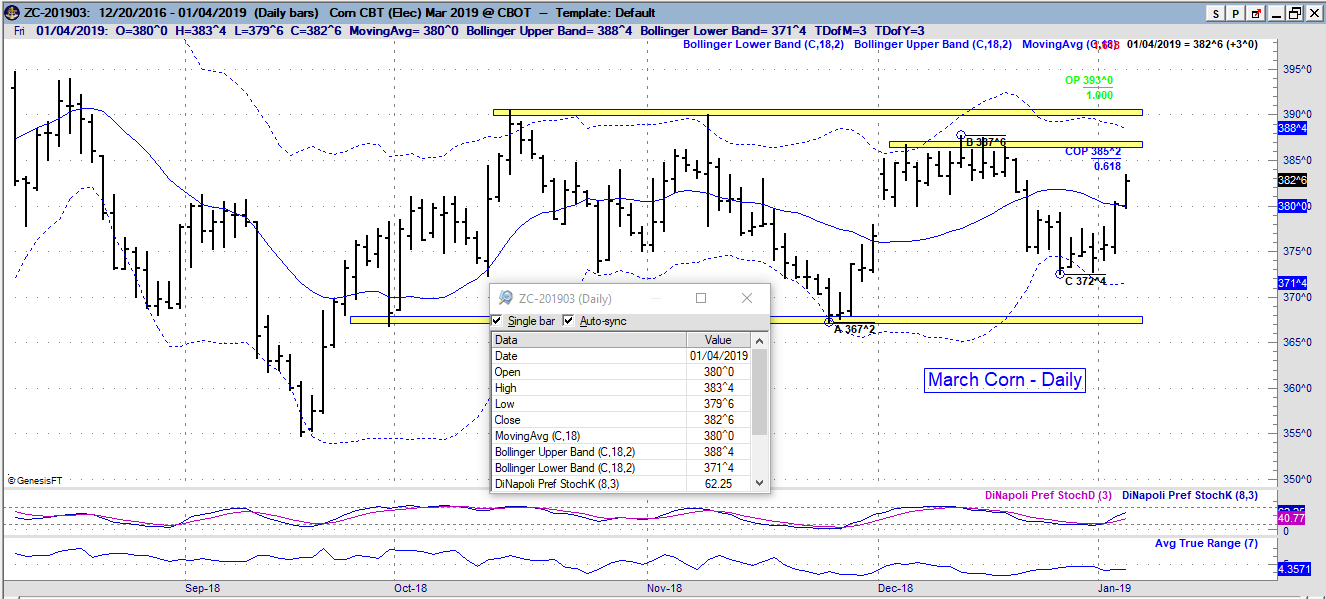 zc daily 2